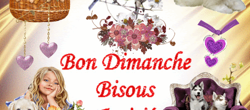 BON DIMANCHE ANIMAUX
