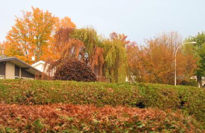 Couleurs nature pour rendre grâce!!!