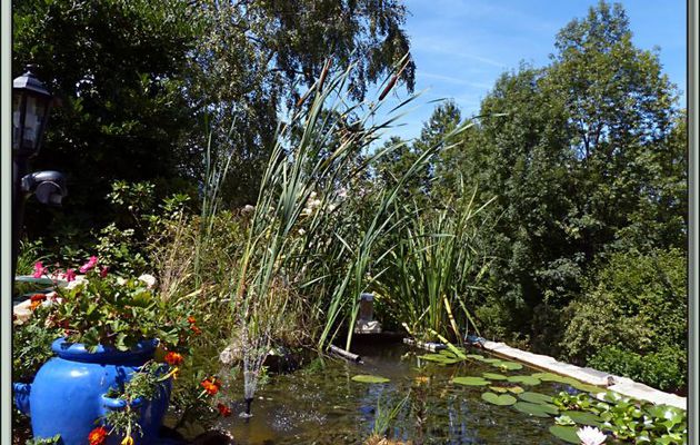 Bassin à poissons en ce début septembre - Lartigau - Milhas - 31