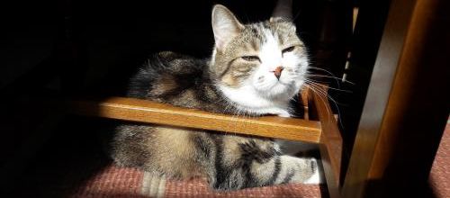 Faut pas lui en raconter