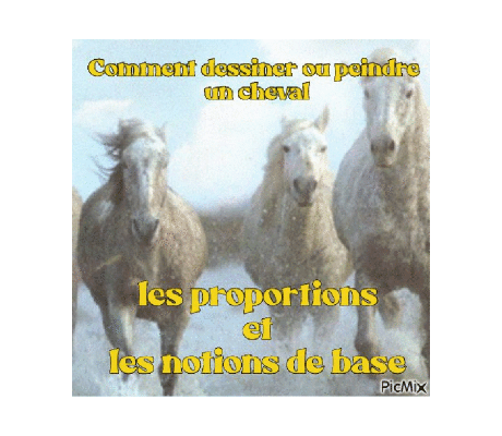 Dessin et peinture - vidéo 4482 : Comment connaitre les proportions et les notions de base pour dessiner ou peindre un cheval ? - Pastels et autres médiums.