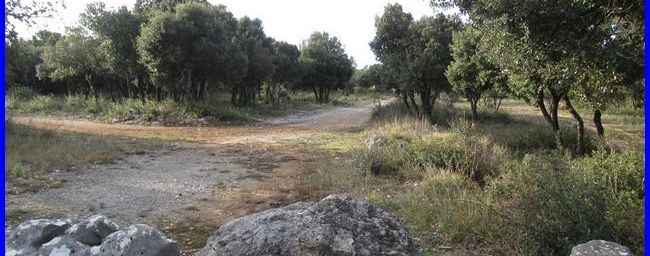 Siou Blanc, lou valoun dis armàri