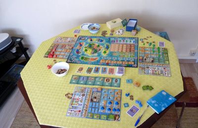 Journée du 13 juillet 2020