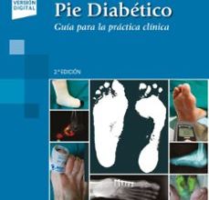 PIE DIABÉTICO (2ª ED.) leer el libro pdf