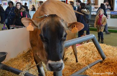 Salon International de l'Agriculture : La Jersiaise