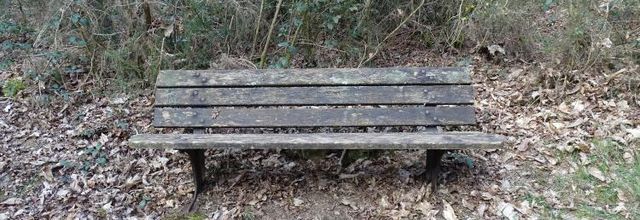 Quistinic : Marcher au printemps (suite)