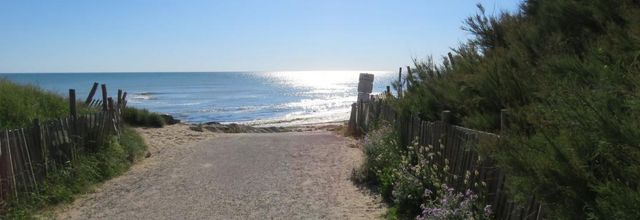 des fleurs sur l'ile de Ré (17)
