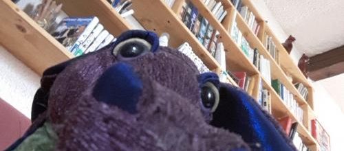 Crinoline fait un selfie