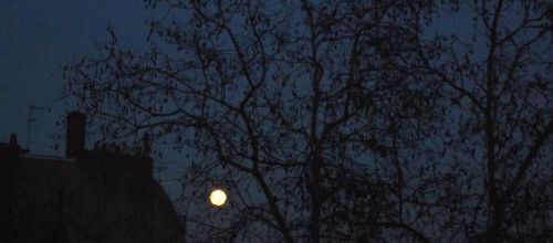 La lune dans la nuit bleue...