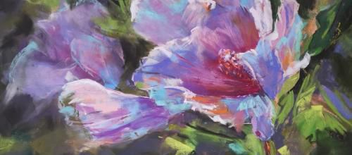 Hibiscus
