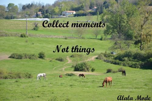 Collect moments not things #14