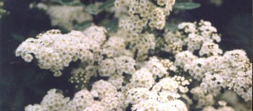 Ma photo préférée du 24 mars