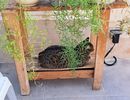 Vos participations aux objets en bois, suite 2.