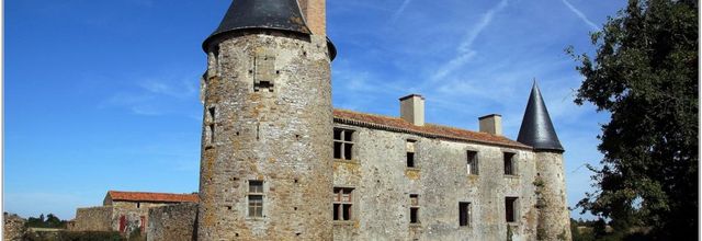 85 . Vendée - Saint Martin des Noyers (1) - Château de la Grève 1