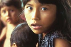 MORTALITE INFANTILE CHEZ LES INDIENS WARAO
