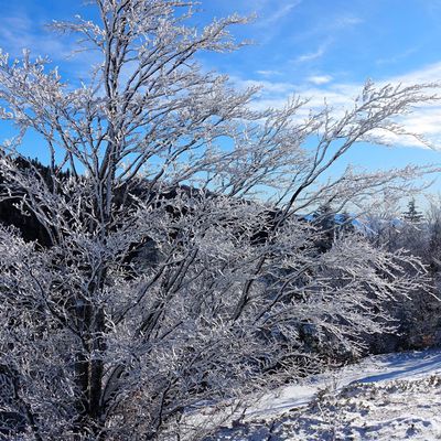 "Je connais les hivers ... je connais le froid"