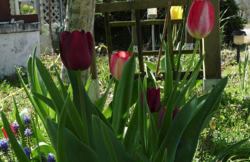 Le printemps 2019 est installé