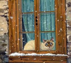 Un temps à ne pas mettre un chat dehors !