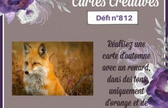 Passion Cartes Créatives#812 !