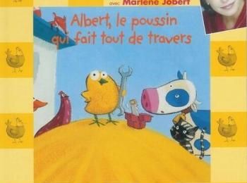 Albert, le poussin qui fait tout de travers