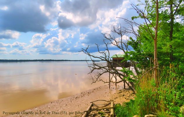 Paysage en Gironde