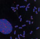 ➤ Un fantôme dans nos gènes (2005)