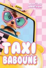 Taxi Baboune