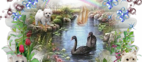 MA PETITE CREA ANIMAUX