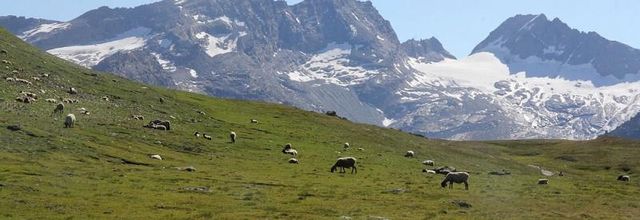 Haute-Maurienne 2019 : quand les lacs prennent de la hauteur...3