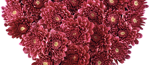 fleurs