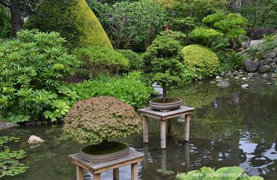 Jardins Albert Kahn : Le Jardin Japonais