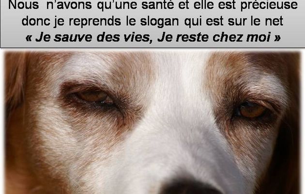 Emy vous passe un message