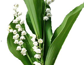 bon 1er mai