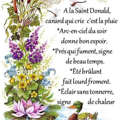 Dictons * Fête Donald * grille prénom   !
