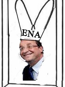 Le coup de pied gauche d'un âne corse...