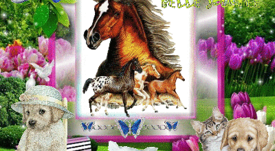 CHEVAL CHIENS FLEURS