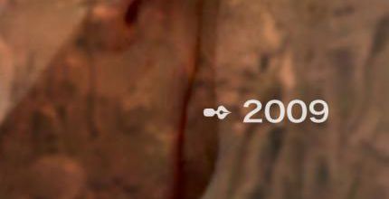 Meilleurs voeux 2009.