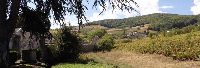 Quincié en Beaujolais..