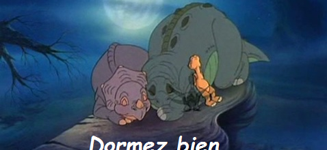 Bonne soirée
