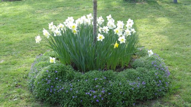 Profitons-en .. C'est le Printemps !!