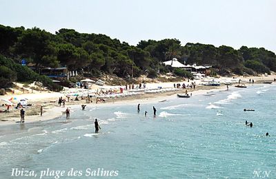 Plaisirs ...ou déplaisirs d' été