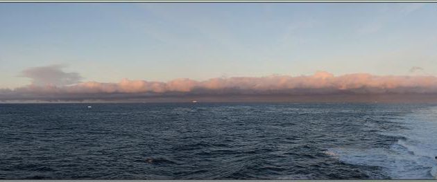 27/02/22 : une frayeur car brume sur la Barrière de Ross vue de la cabine ! Mais vu du pont, le ciel est bien dégagé. Nous approchons du but du jour, la Baie des Baleines et le record est battu ! 