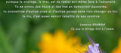 La vie c'est savoir renaître de ses cendres. Citation de Yasmina Khadra