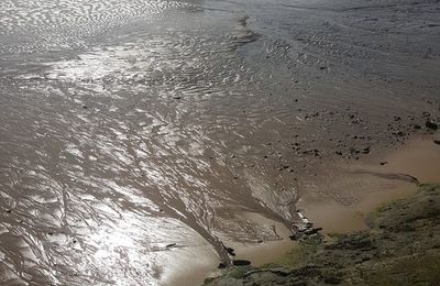 EB - Le Bassin d'Arcachon à marée basse - septembre 2019...