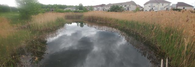 Adventurous Hiking Trip in Kanata on May 23rd 2022