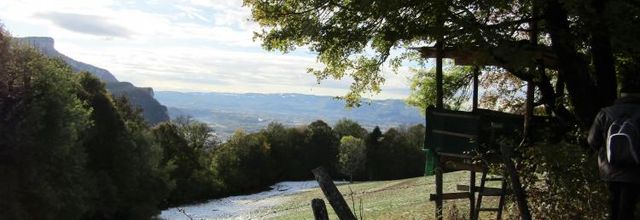 Bois du Tençon (2)