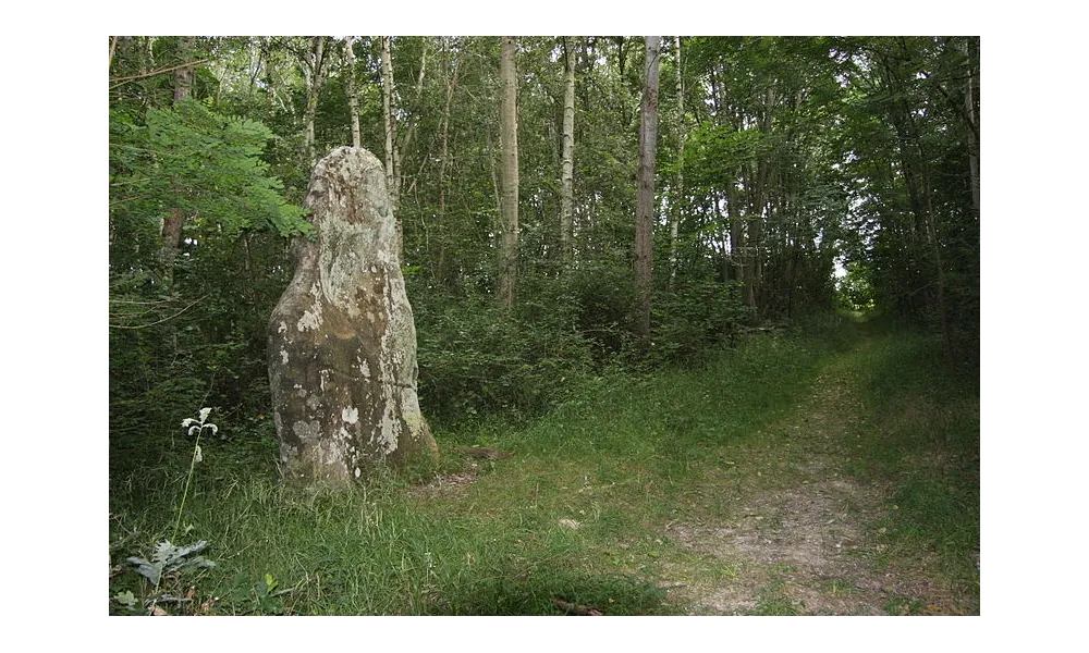 CIRCUIT DU MENHIR DE SAINTE-FLODOBERTHE (Seine-et-Marne - 77)