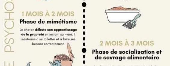 Dis maman, pourquoi ?