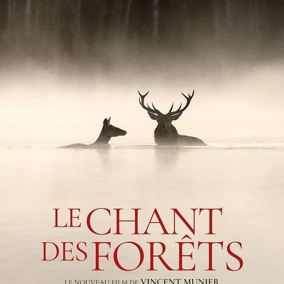 Le chant des forêts
