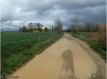 (J30) Calzadilla de los Hermanillos / San Nicolas del Real Camino 4 mai 2012 (2)